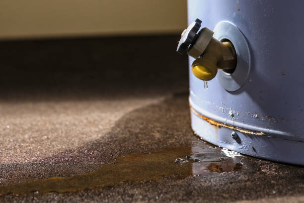 Best Carpet water damage restoration  in Orchard Homes, MT