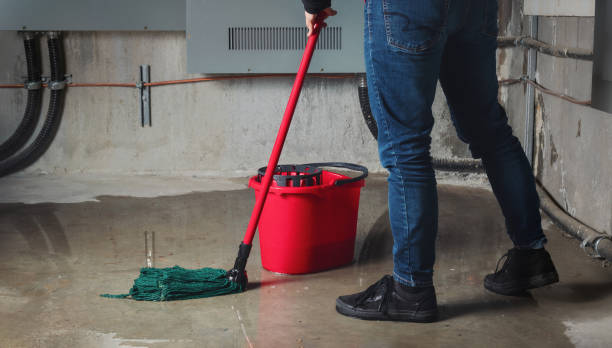 Best Sewage cleanup and water damage restoration  in Orchard Homes, MT