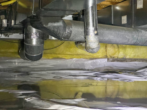 Best Water damage restoration process  in Orchard Homes, MT