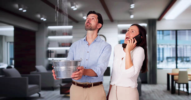 Best 24/7 water damage repair  in Orchard Homes, MT